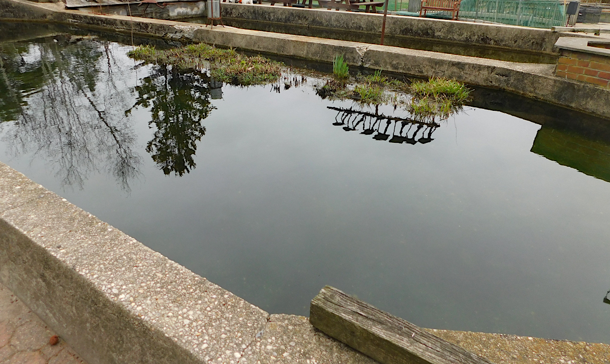 two ponds csph.png
