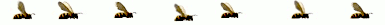 border bumble bee gif.gif