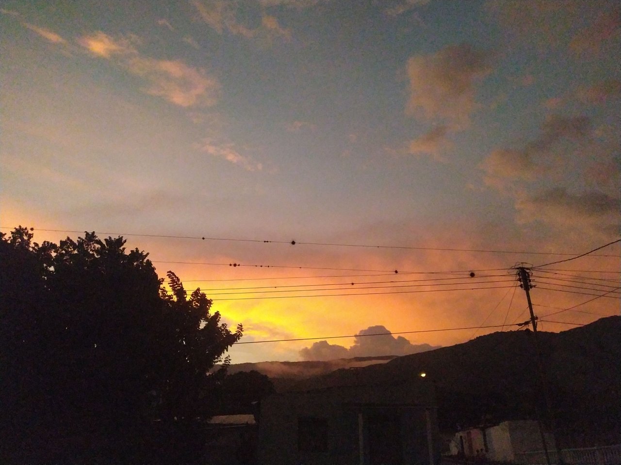 IMG_20220808_190230_1.jpg