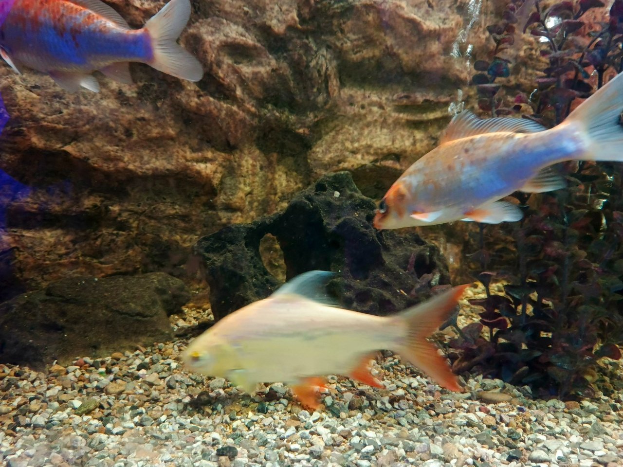 IMG_20250114_203517_869.jpg