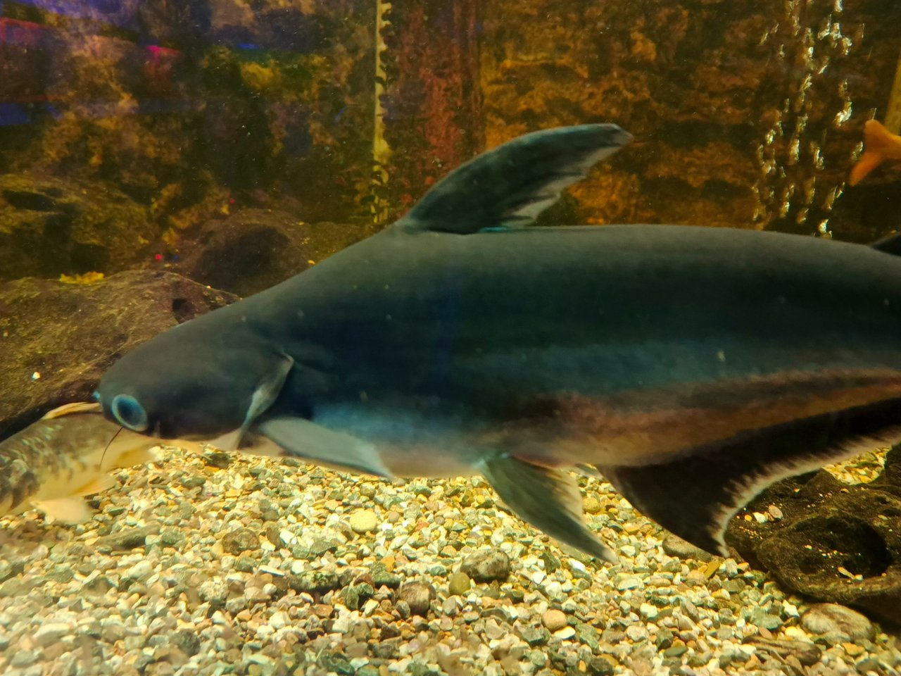 IMG_20250114_203546_299.jpg