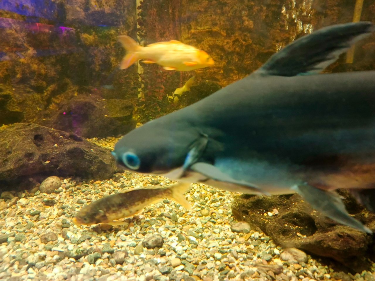 IMG_20250114_203542_766.jpg