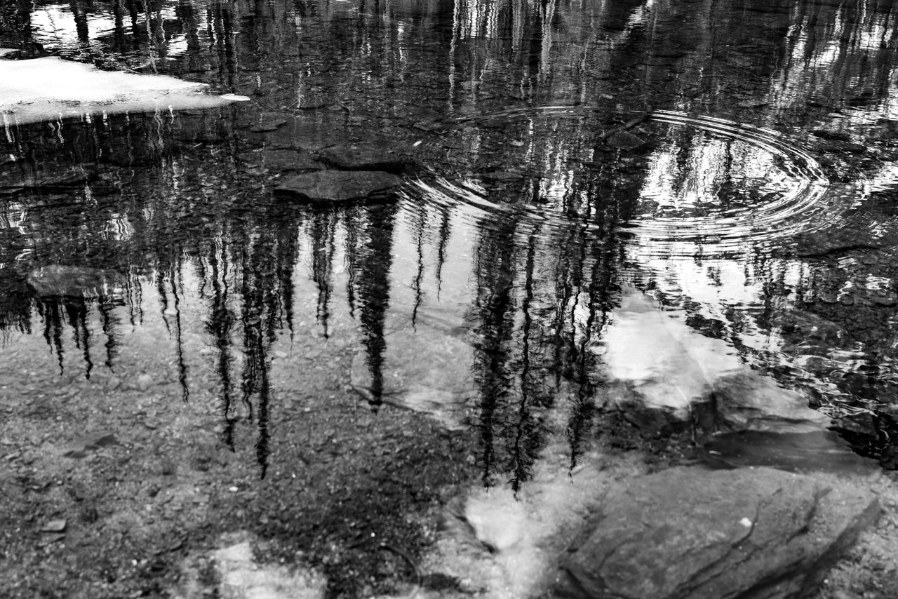 DSC07466.jpeg