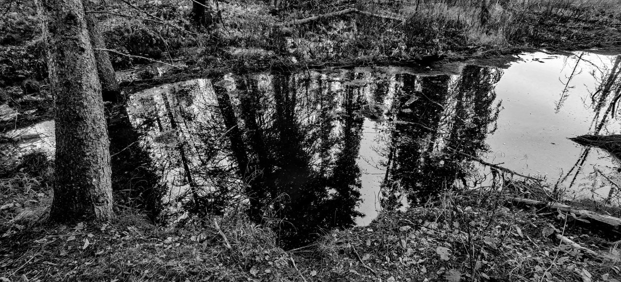 IMG_20241013_160744_Original.jpeg