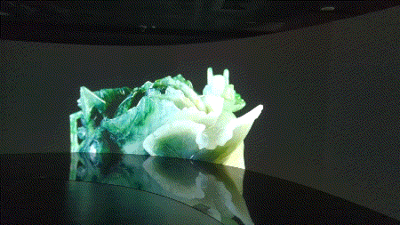 videotogif_2024.04.14_11.25.54.gif