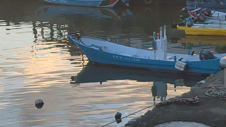 videotogif_2025.07.26_16.08.51.gif