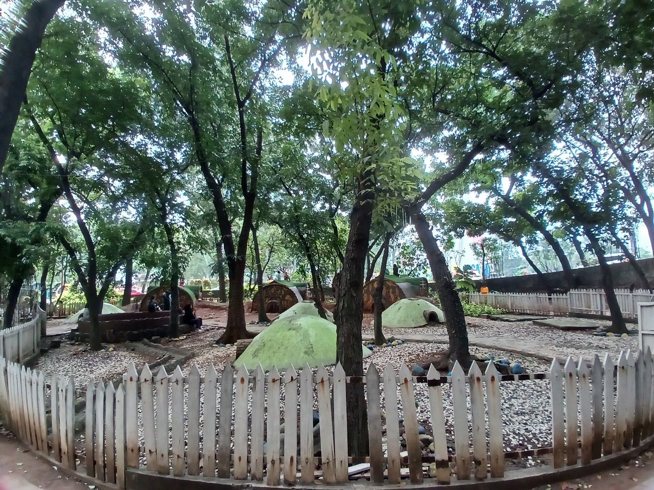 20250628_123910.jpg