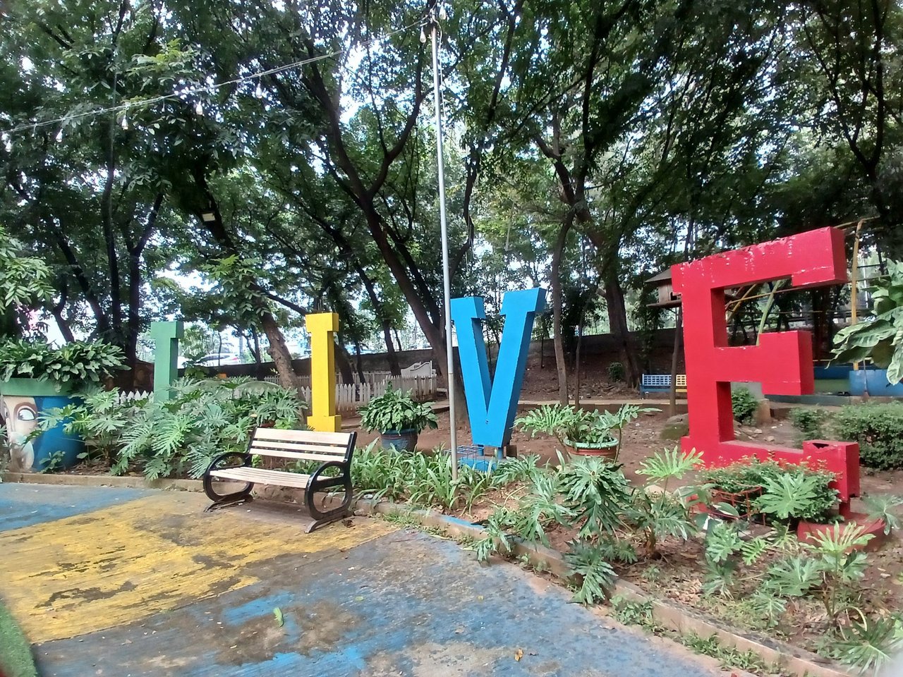 20250628_123831.jpg