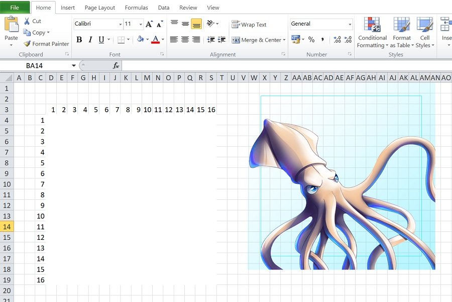 squid.jpg
