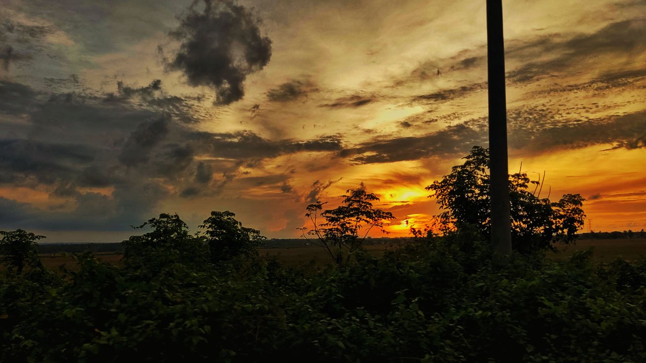 IMG_20230510_182227-01.jpeg