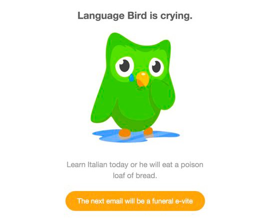duolingo.jpg
