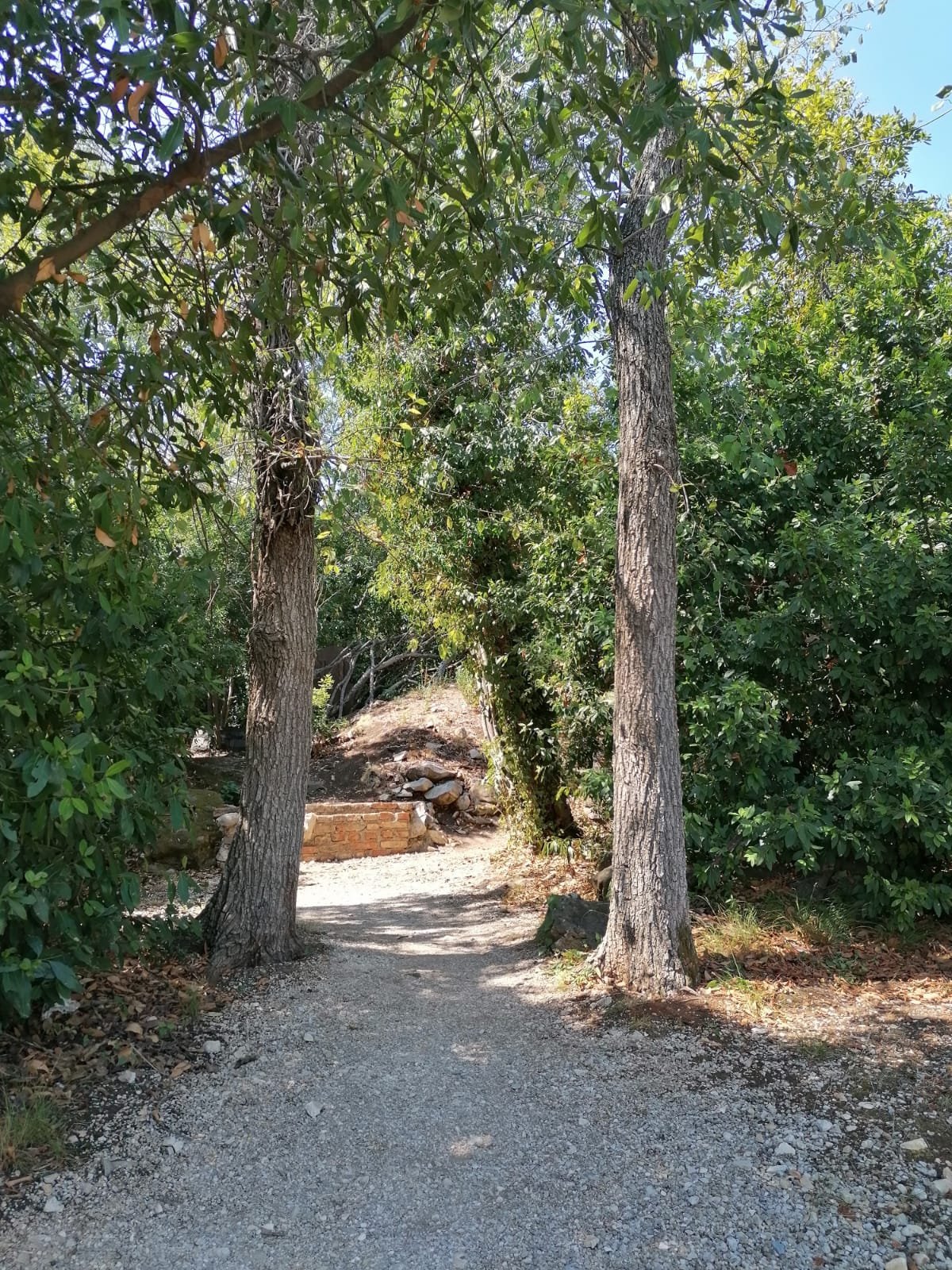 IMG-20220817-WA0000.jpg