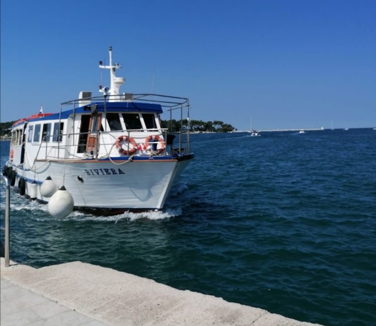 IMG_20220818_142608.jpg