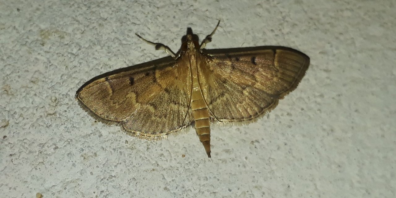 20211029_050346.jpg