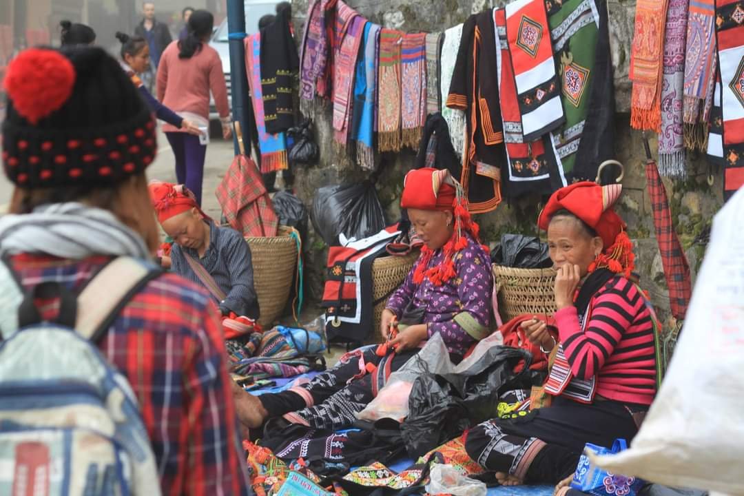 sapa 12.jpg
