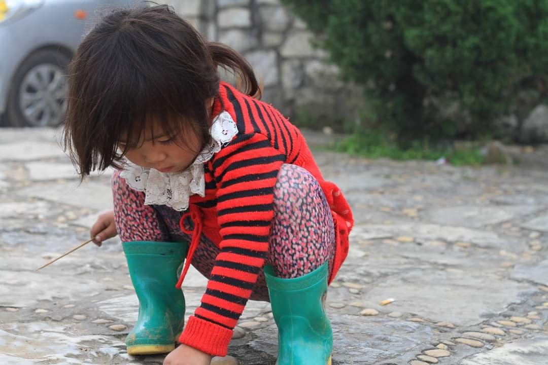 sapa 11.jpg