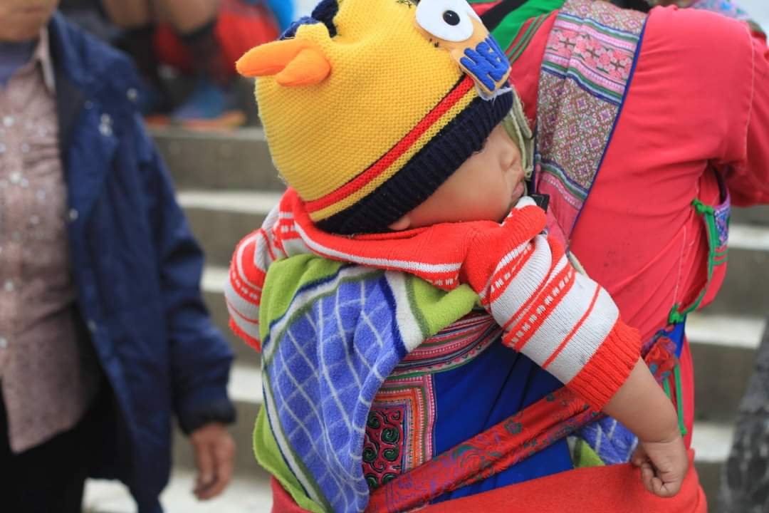 sapa 10.jpg