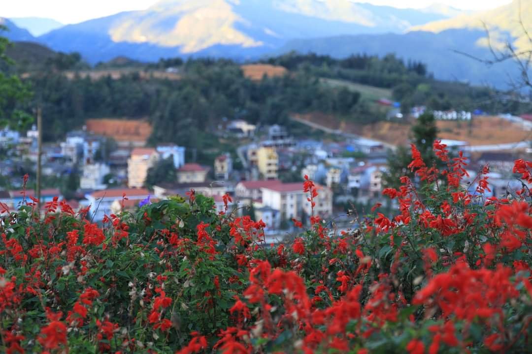 sapa6.jpg