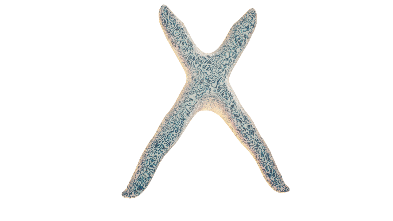 chromosomenew.png