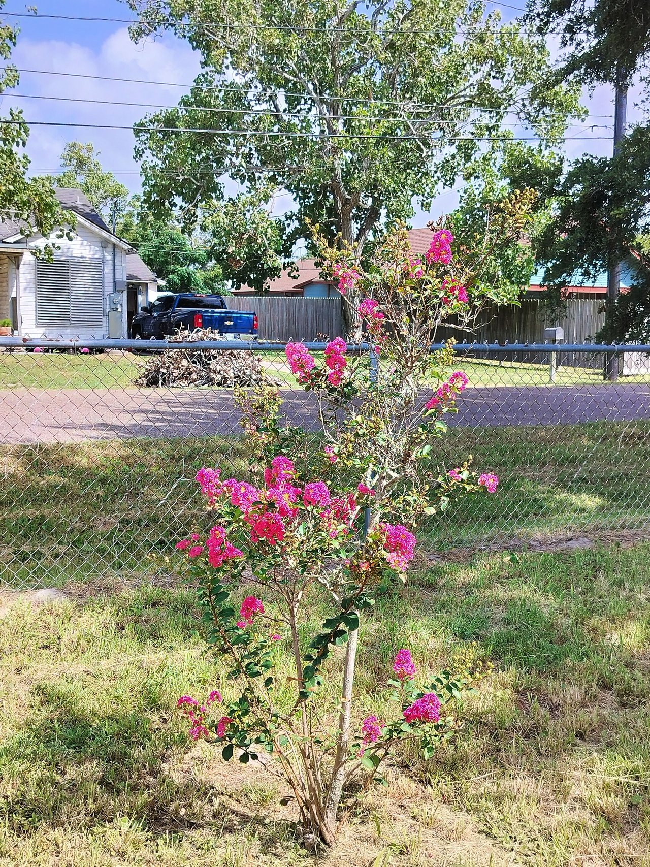 IMG_20250729_205241.jpg