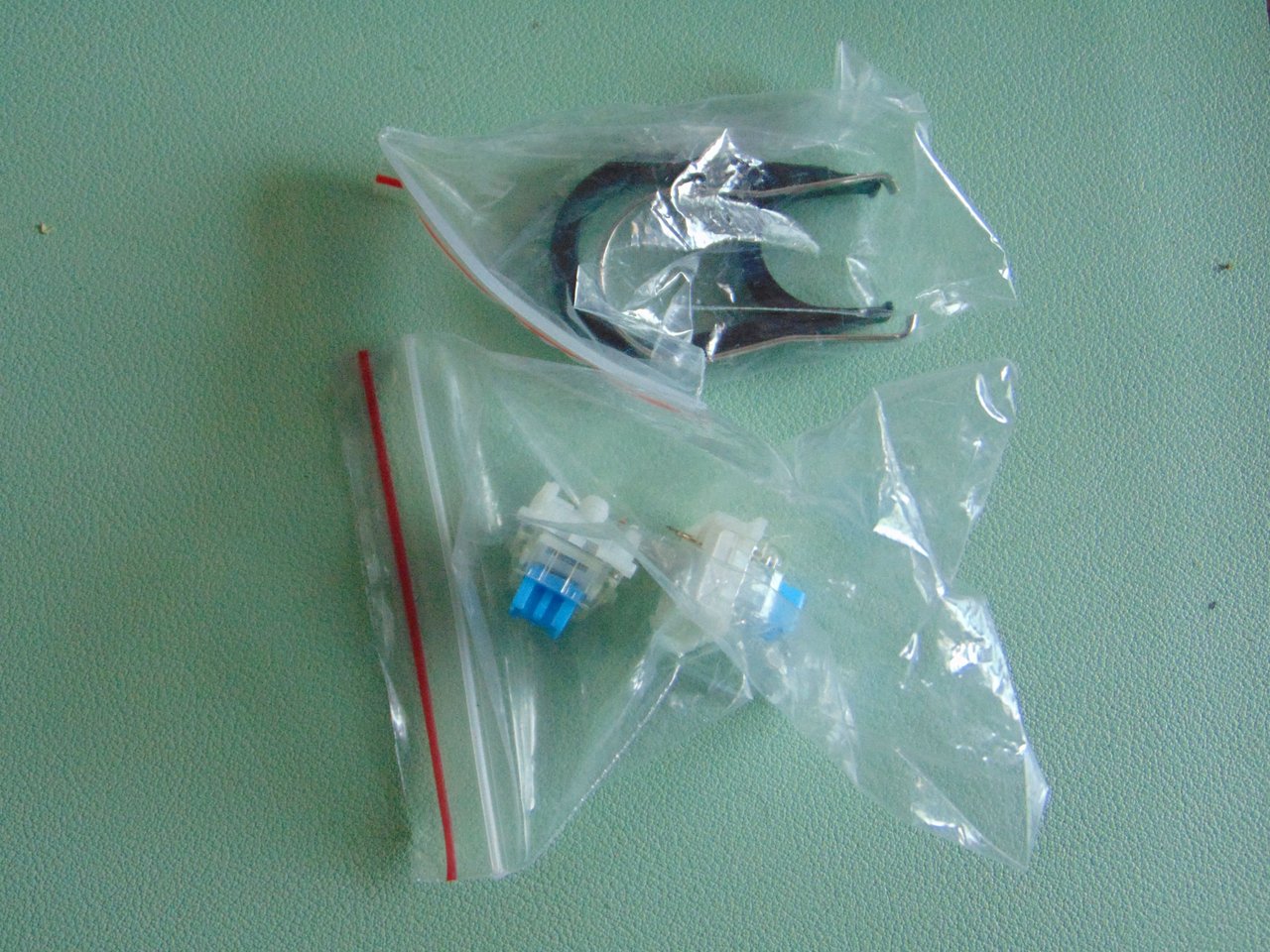 DSC04564.JPG