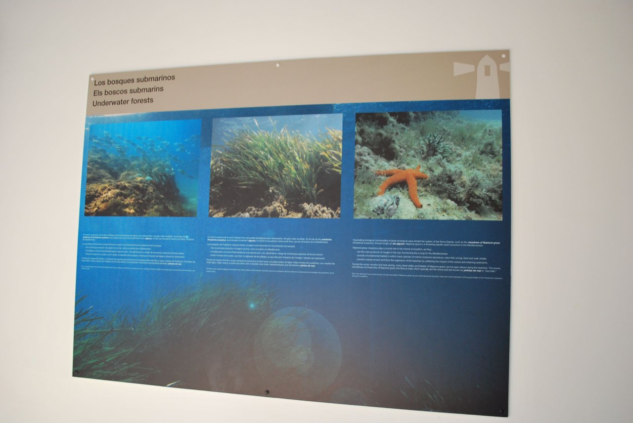 DSC_4224.JPG