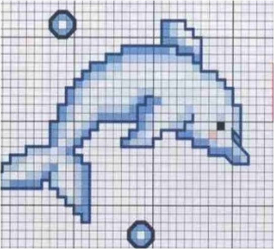 delfin.jpg