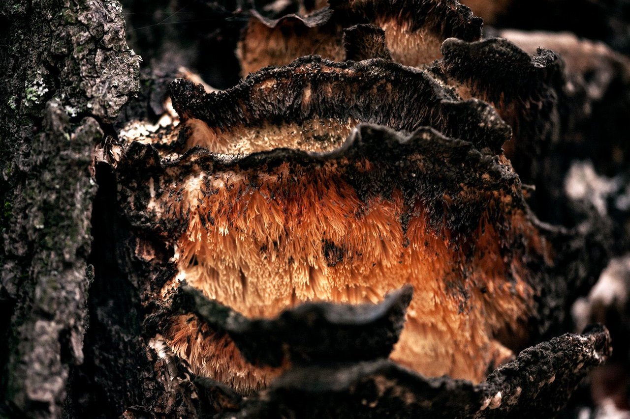 2023-oct-3670w-h1.jpg