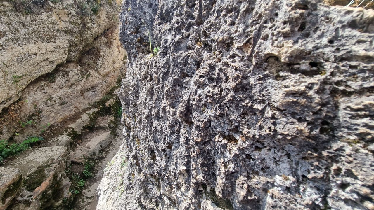 20220904_131328.jpg