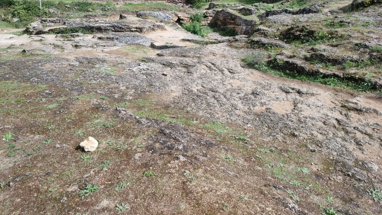 20220904_130642.jpg