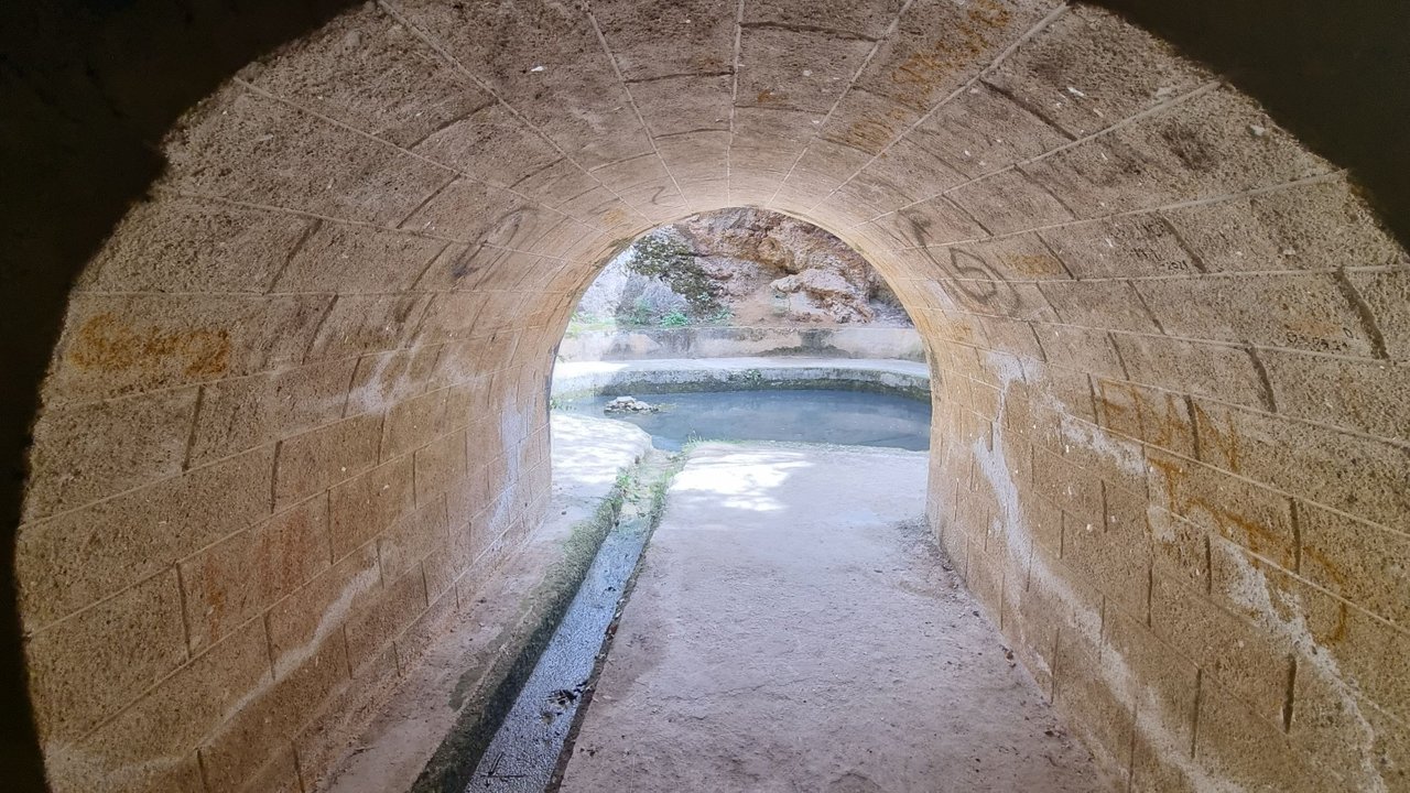 20220904_131904.jpg