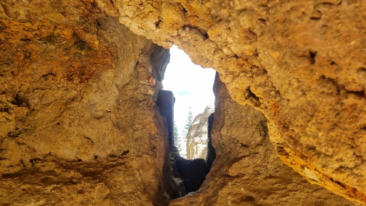 20220904_131528.jpg