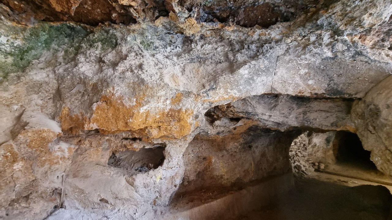 20220904_132256.jpg