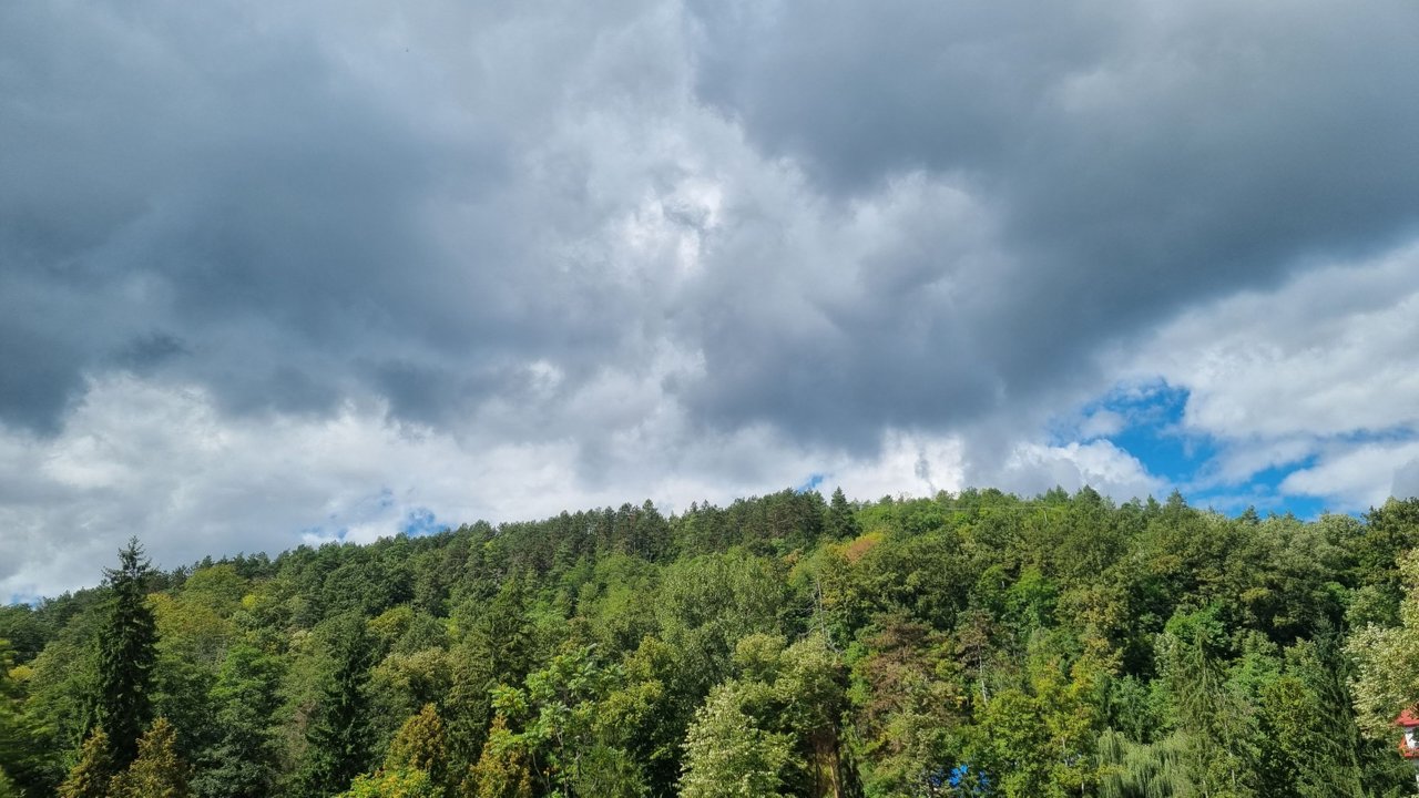 20220904_130958.jpg