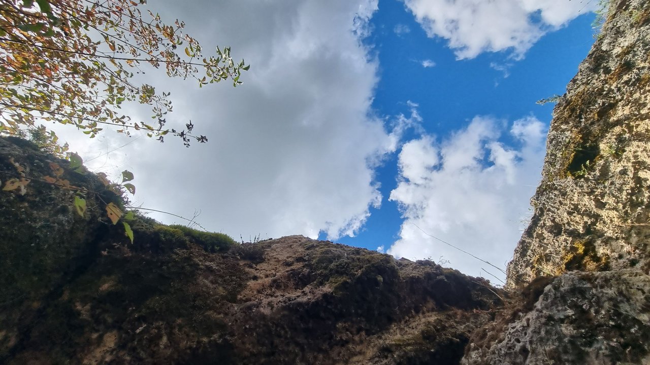 20220904_131444.jpg