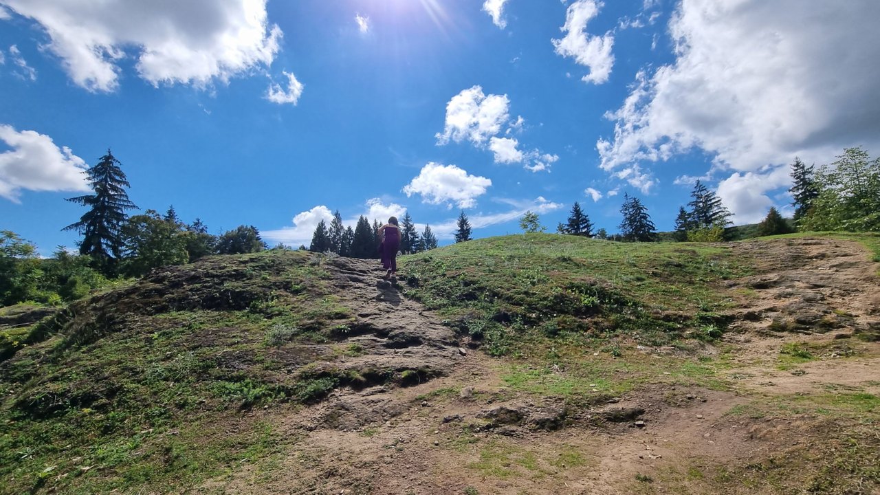 20220904_130616.jpg