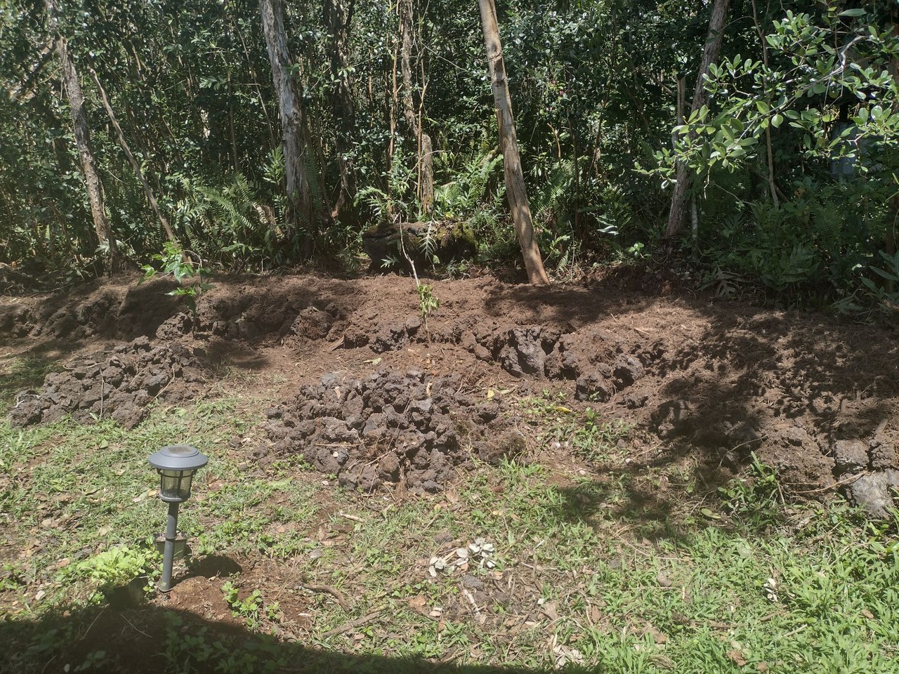 IMG_20220327_130631186_HDR.jpg