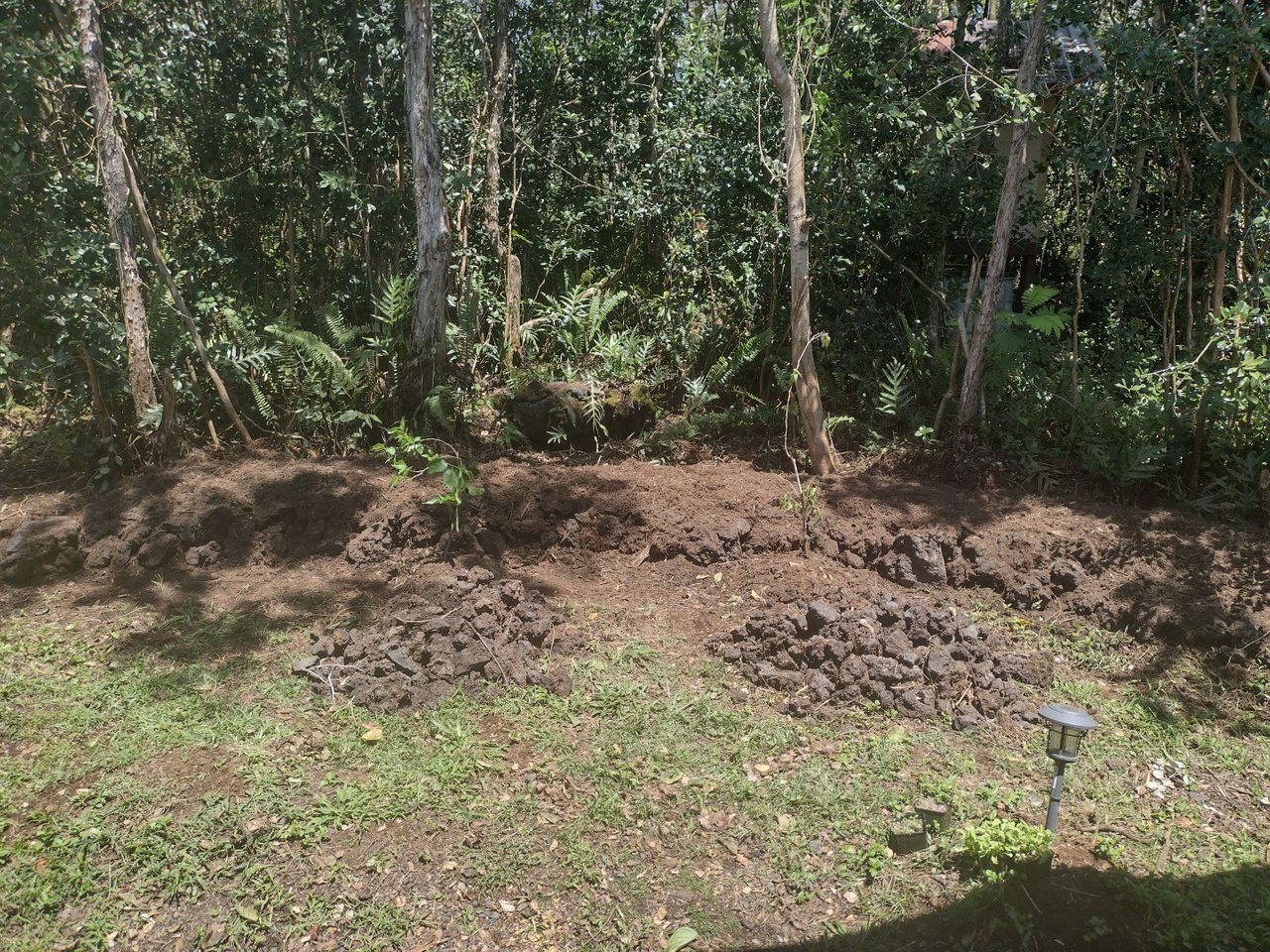 IMG_20220327_130644125_HDR.jpg