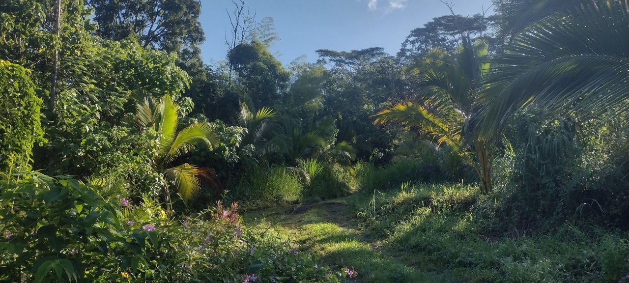 IMG_20231102_075719914_HDR.jpg