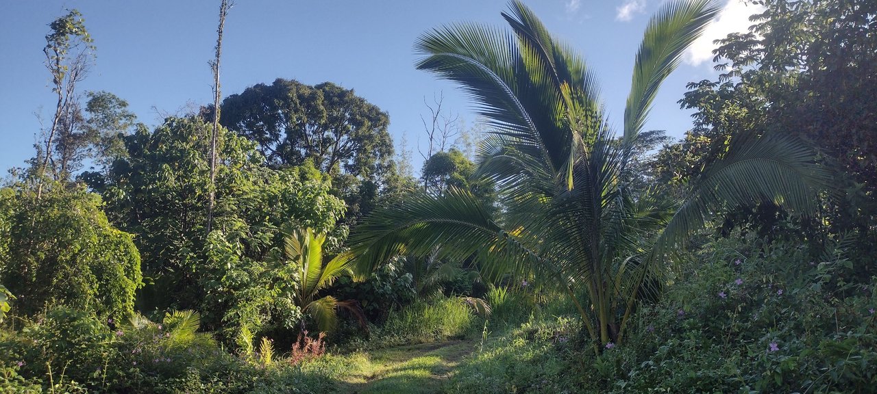 IMG_20231102_075541956_HDR.jpg