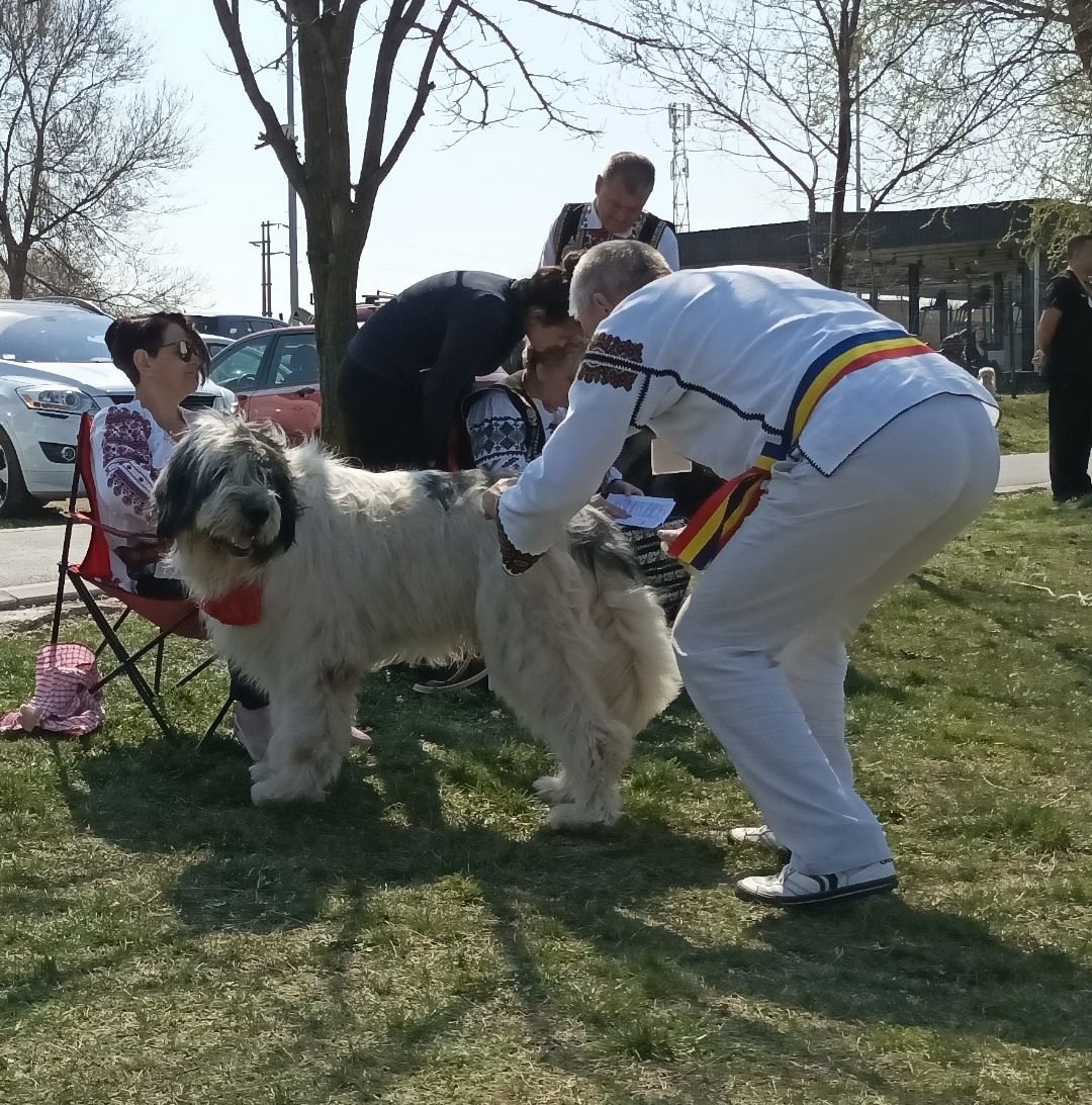 IMG_20220327_143922.jpg