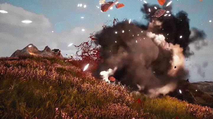 video2gif_20190710_023756.mp4