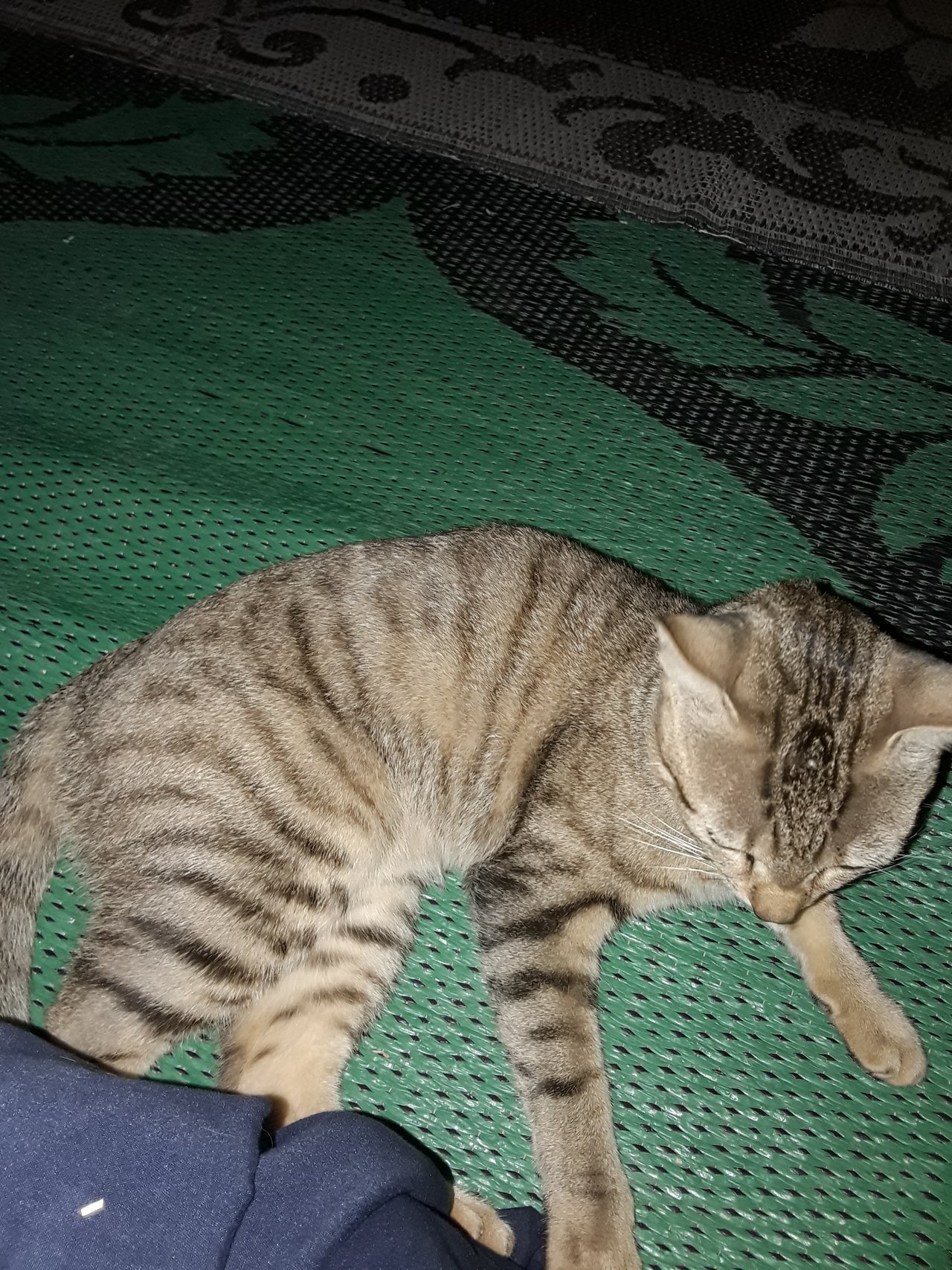20210122_195416.jpg