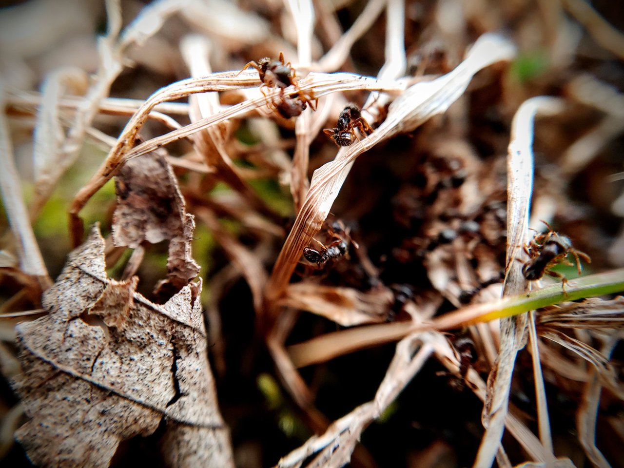 20200506_182622~2.jpg