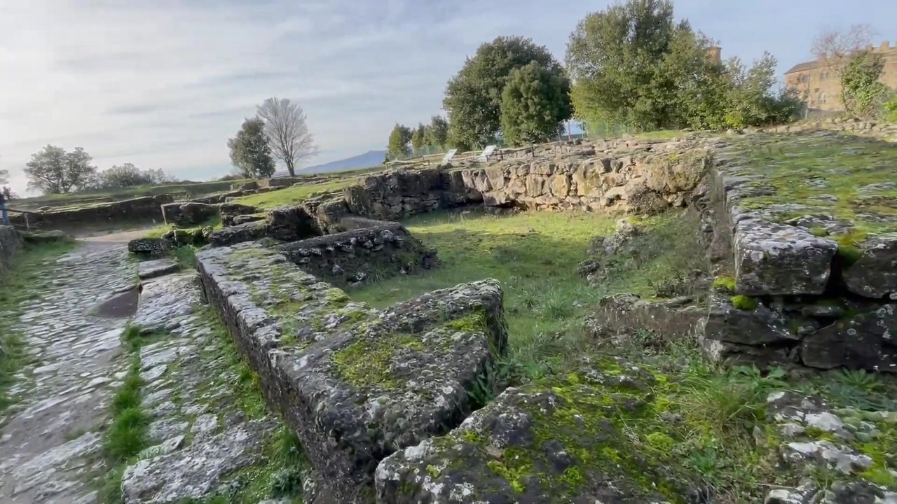 496.jpg