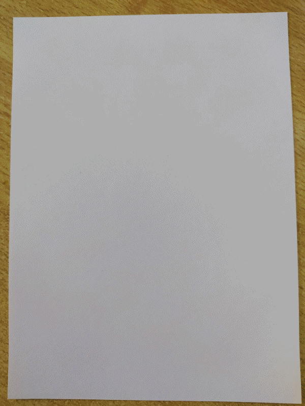 gif.gif