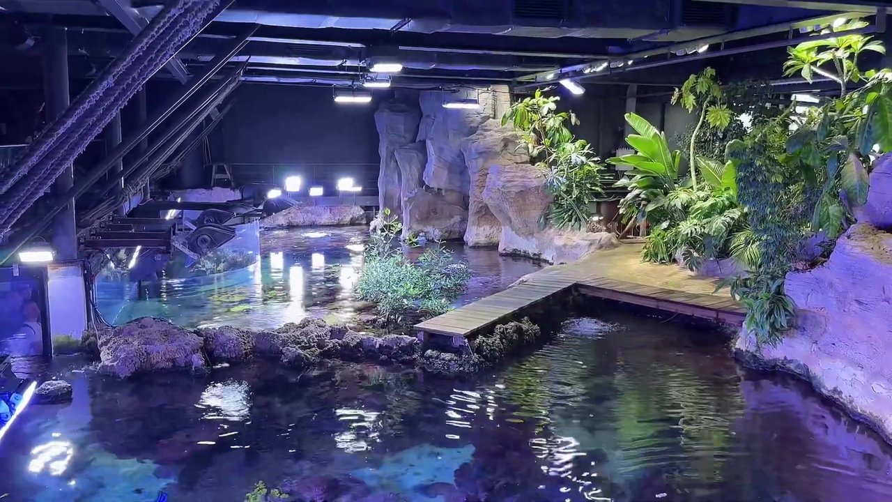 170.jpg