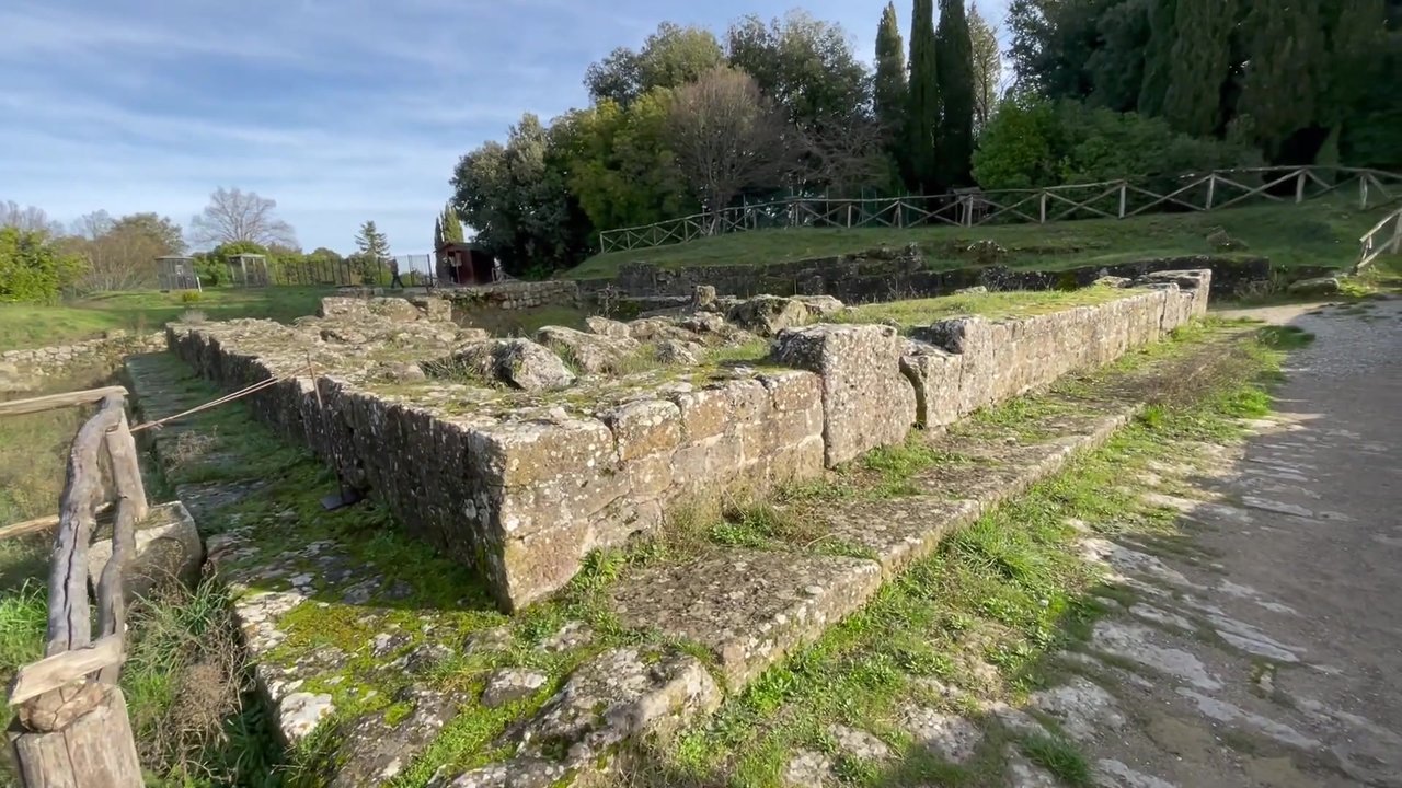 181.jpg