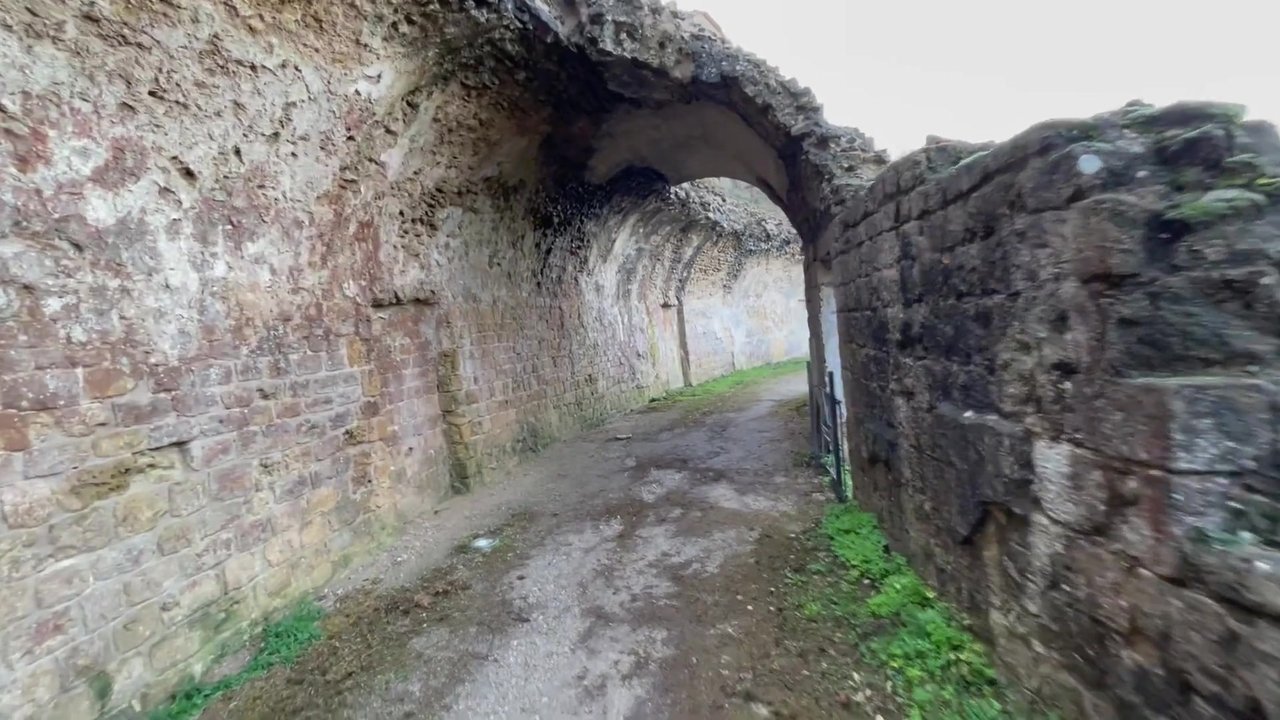 286.jpg
