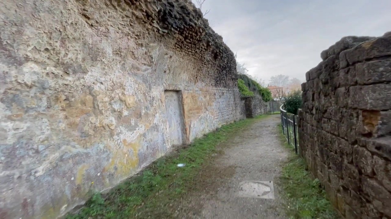 356.jpg
